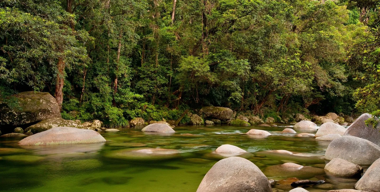 Wide shallow rainforest river strewn with smooth granite boulders