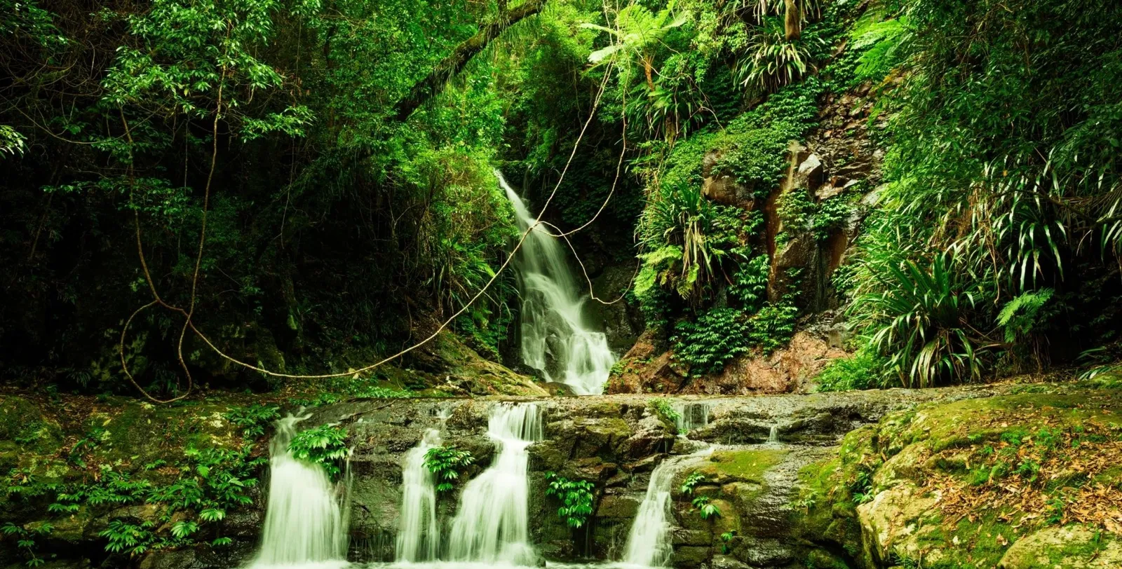 Tiered waterfall spilling over mossy rock into a pool in the Daintree Rainforest