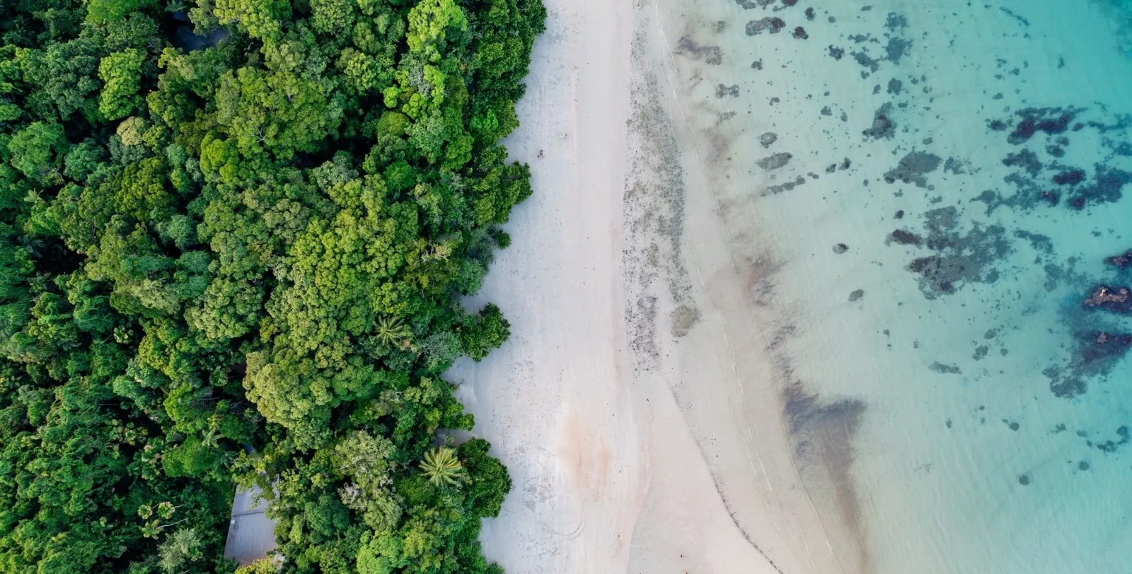 Overhead view of dense rainforest canopy meeting white sand and a shallow reef