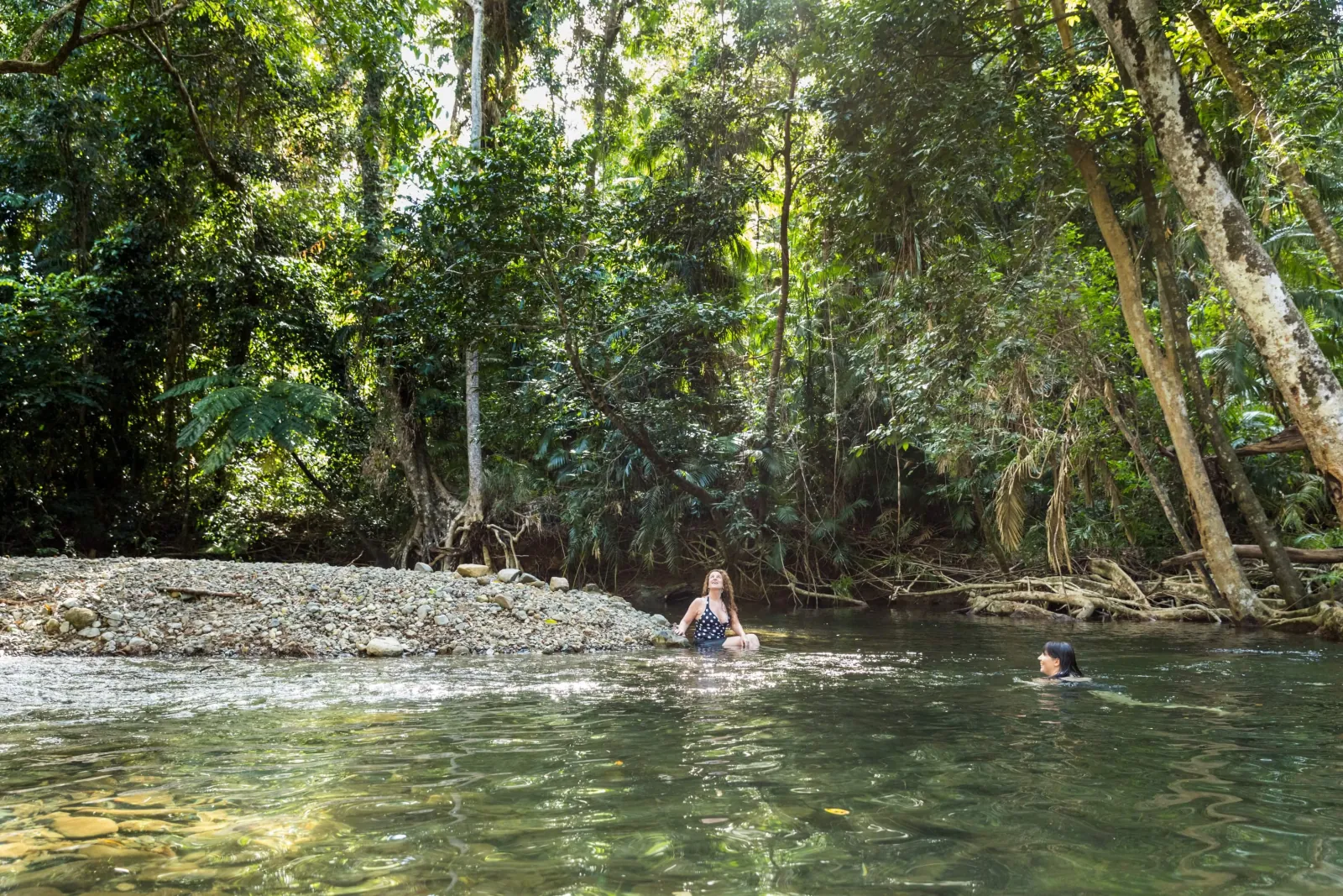 Guests swimming in a clear freshwater creek in the Daintree Rainforest