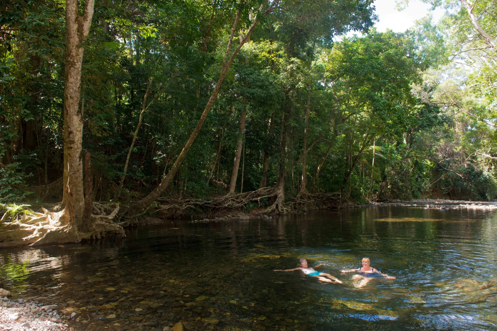 Swimmer floating in a shaded rainforest swimming hole