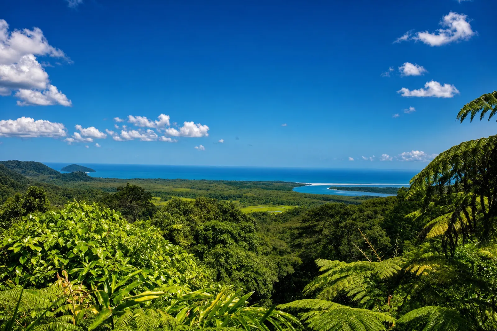 View over the rainforest to the Daintree River mouth and the sea