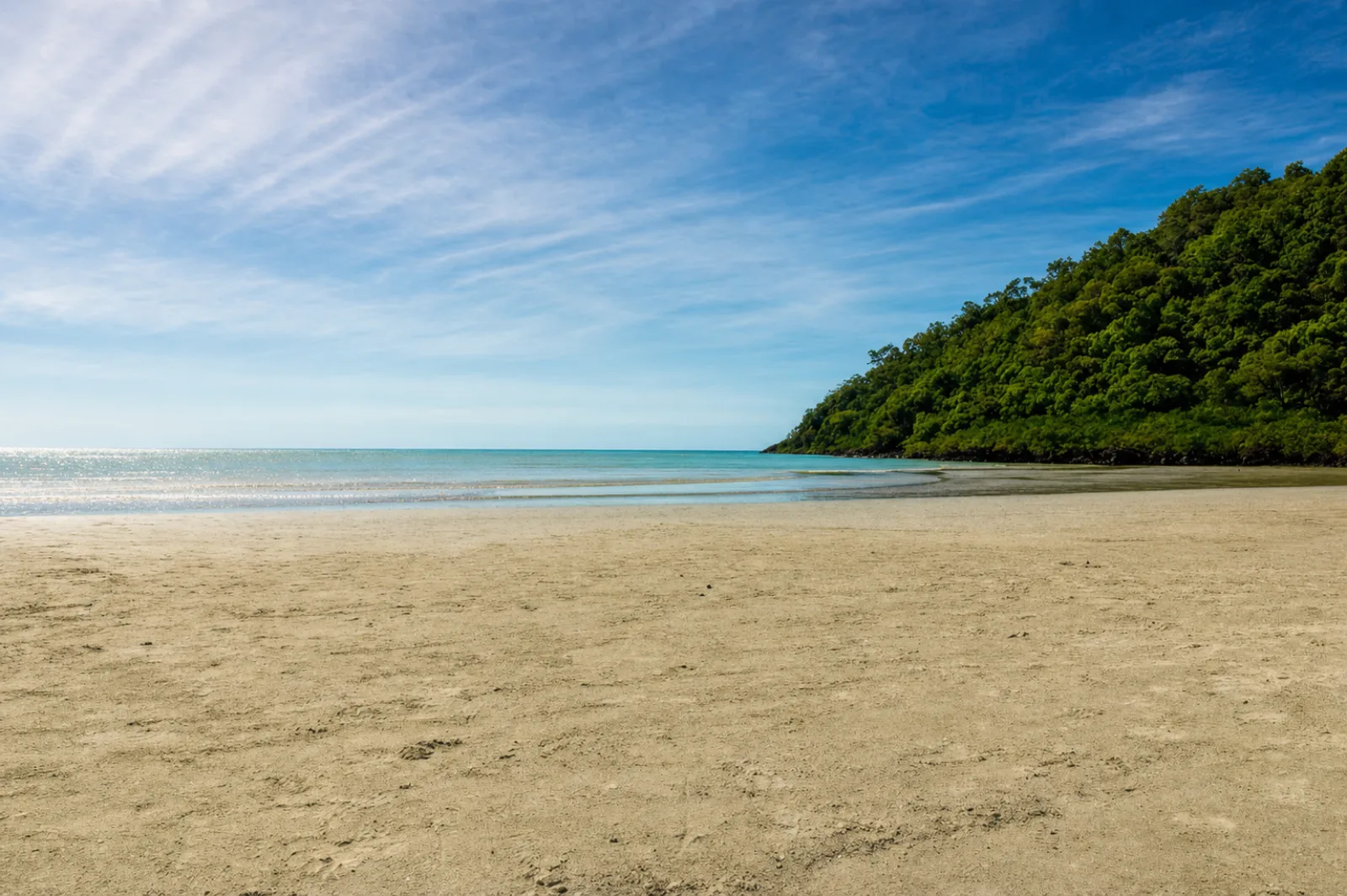 Daintree, Cape Tribulation Beach and Mossman Gorge Day Tour