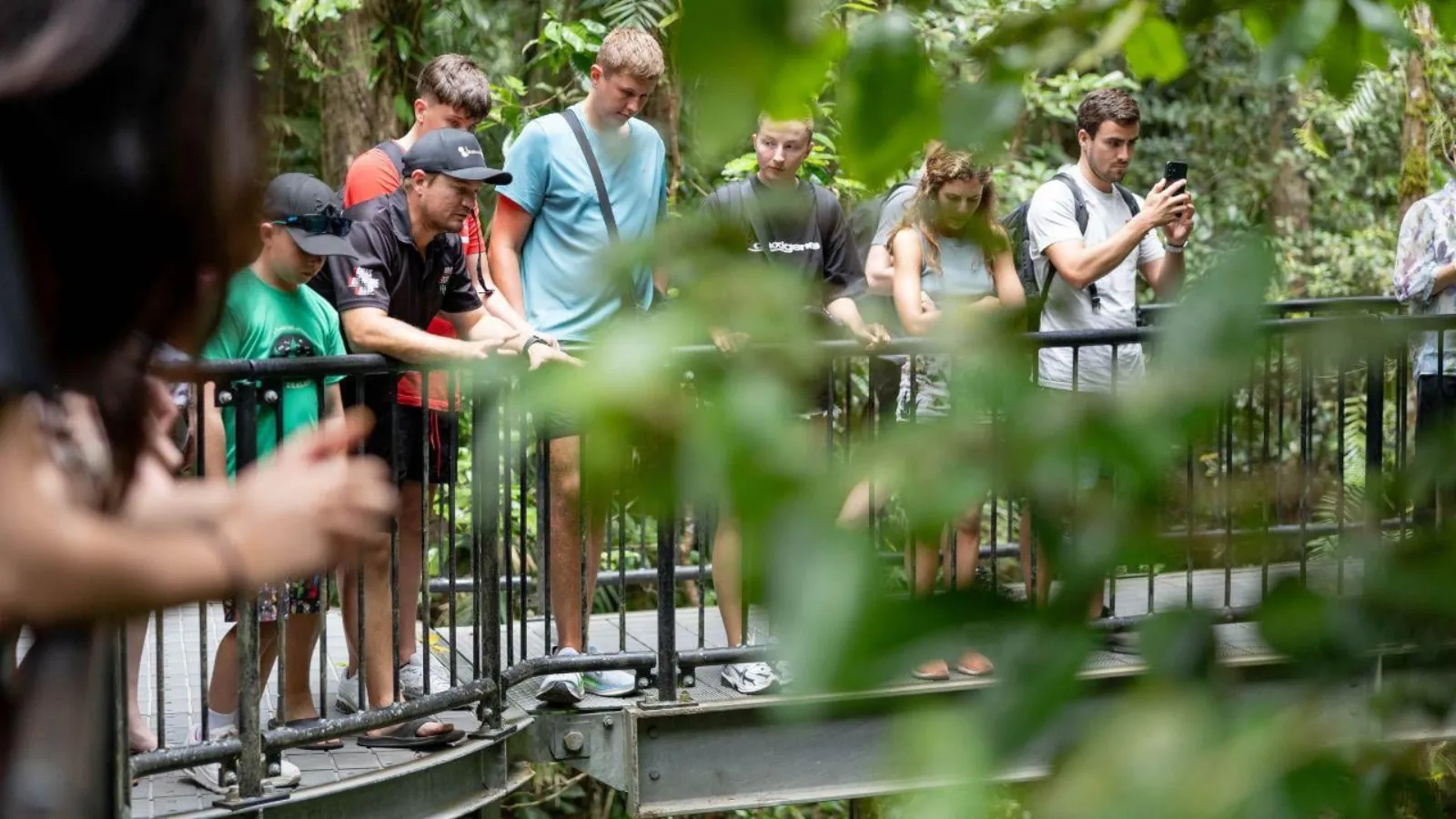 Tour group on the boardwalk at Mossman Gorge