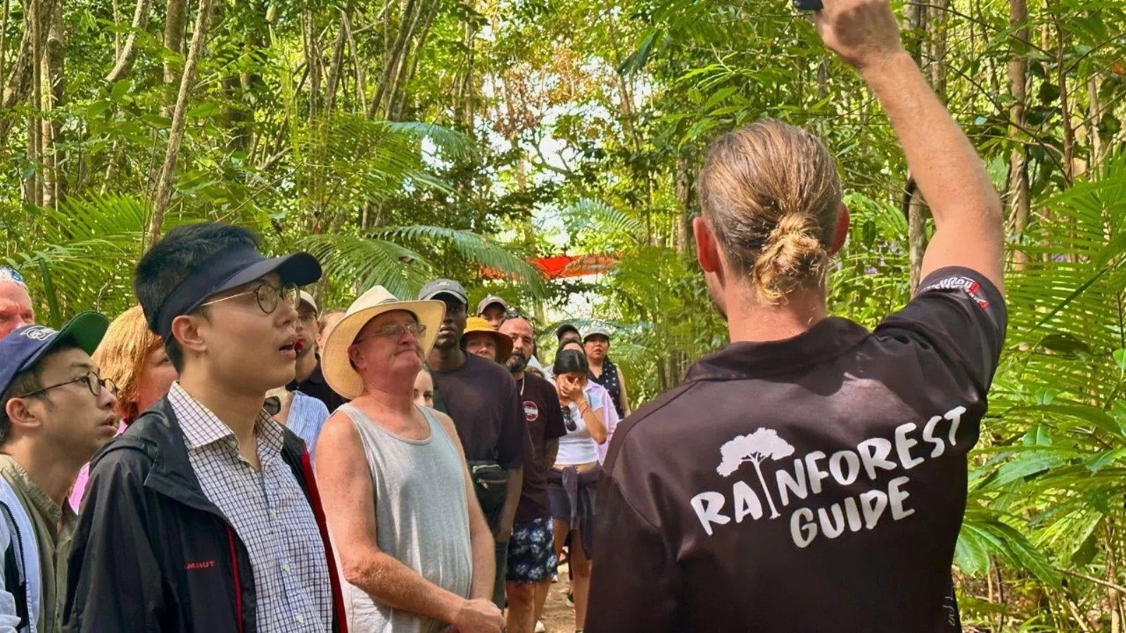 Rainforest guide leading a group on a forest walk