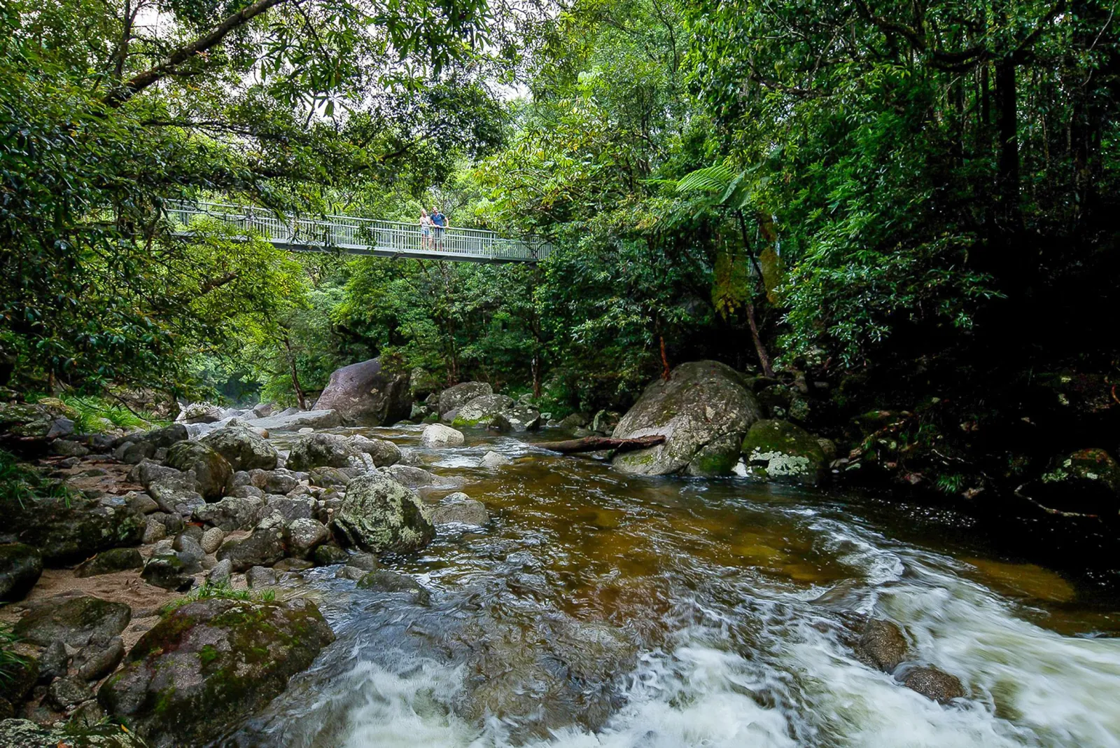 Suspension bridge over a boulder-strewn rainforest river
