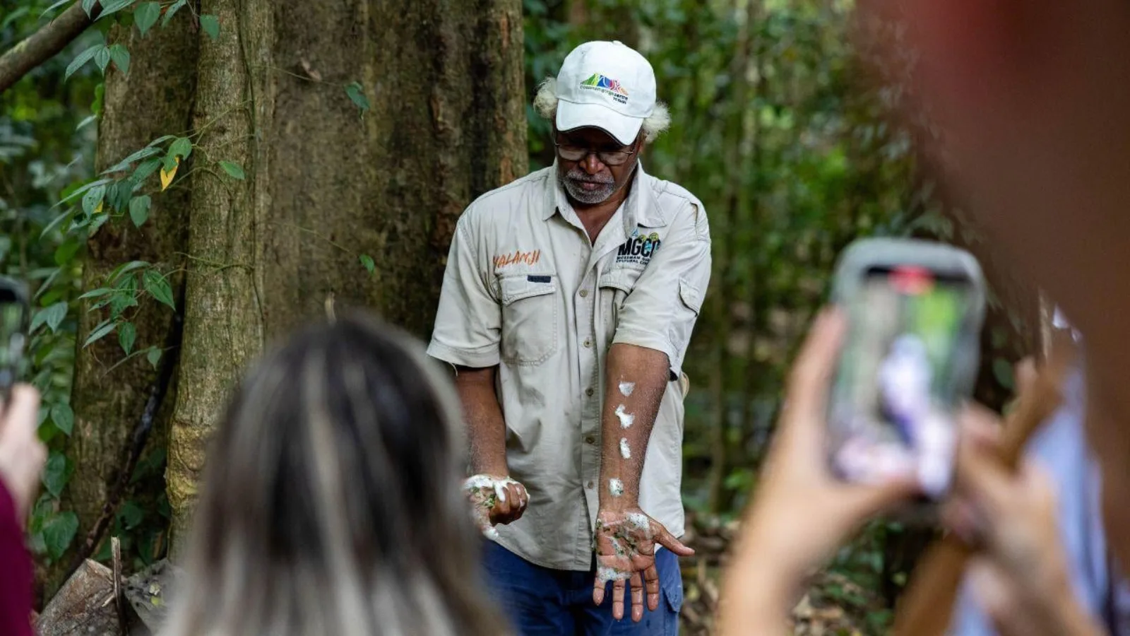 Daintree and Mossman Gorge Day Tour from Cairns
