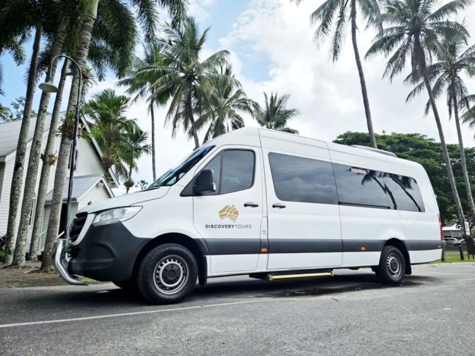 Tour minibus parked beside palm trees