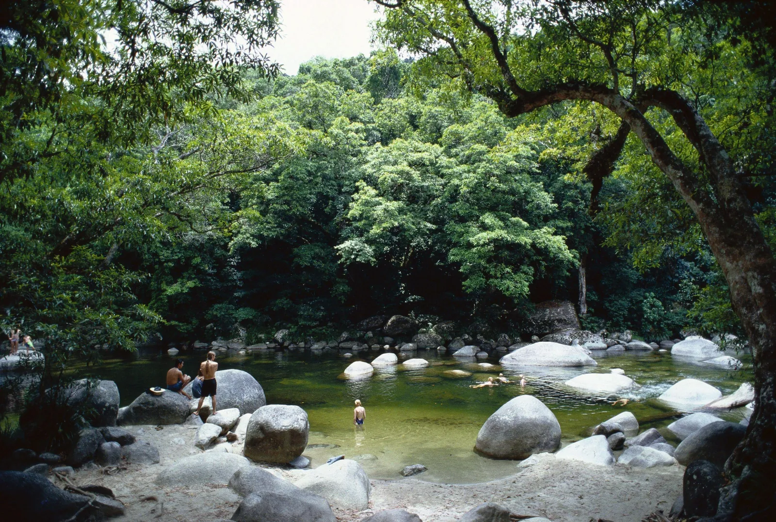 Boulder-filled river pool under rainforest at Mossman Gorge