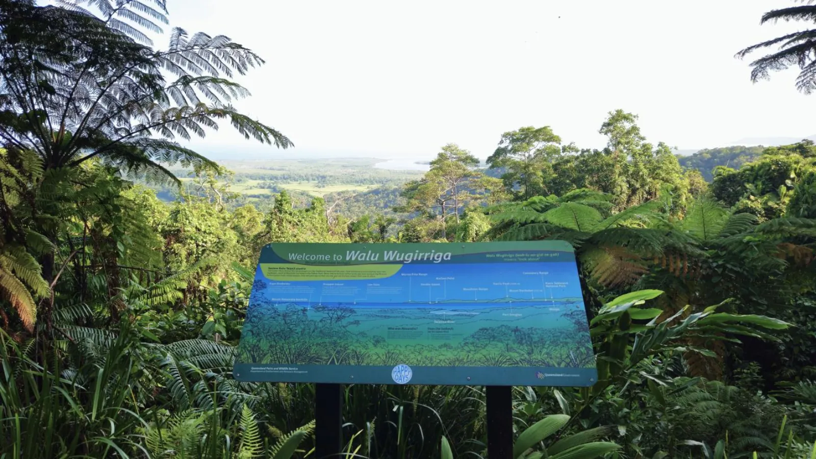 Interpretive sign at a lookout over the Daintree lowlands