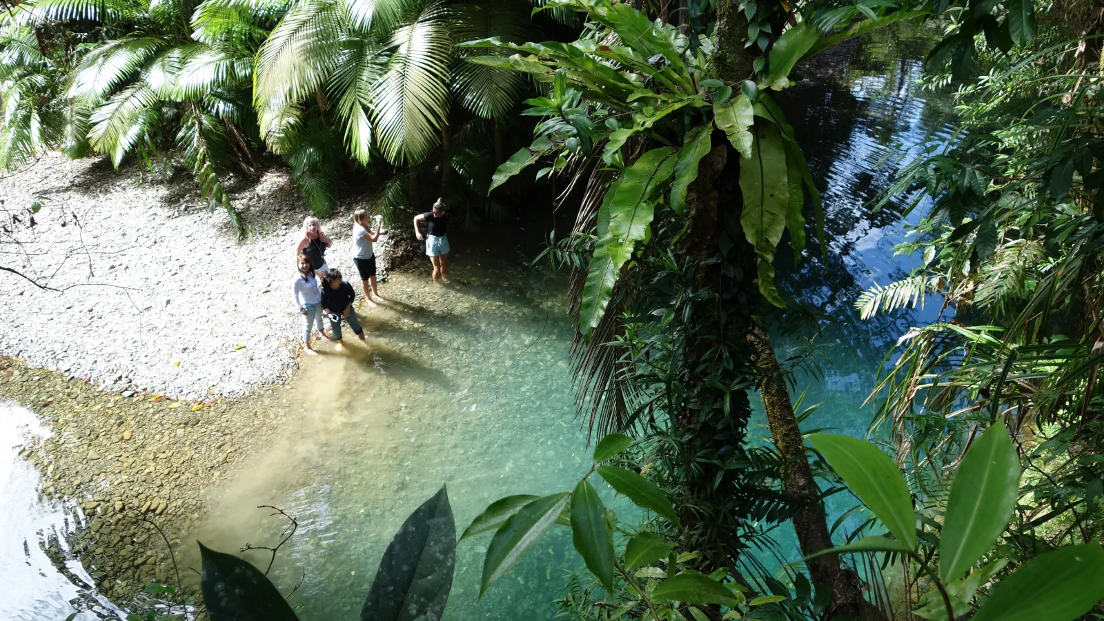 Walkers at the edge of a sandy rainforest creek