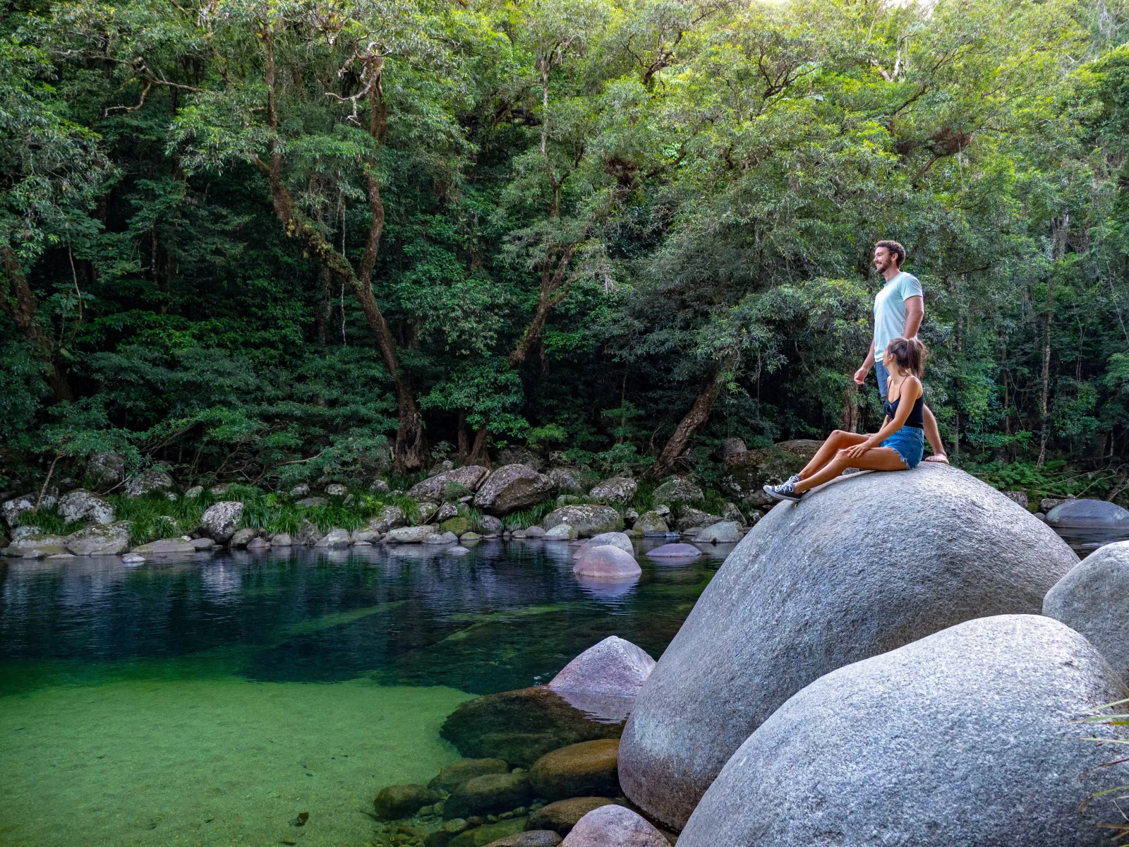 Daintree and Cape Tribulation Tour from Port Douglas