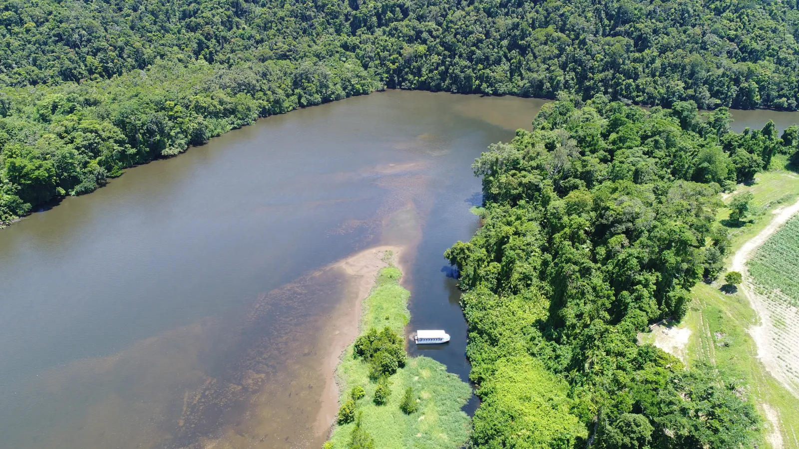 Aerial view of the Daintree River winding through rainforest