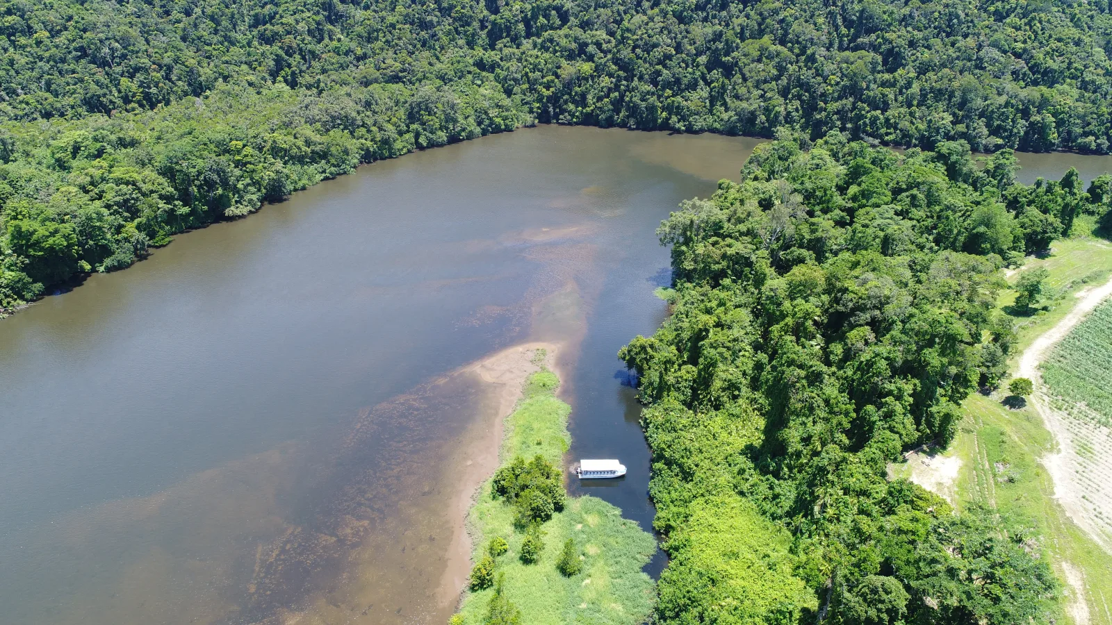 Daintree River Wildlife Experience Cruise