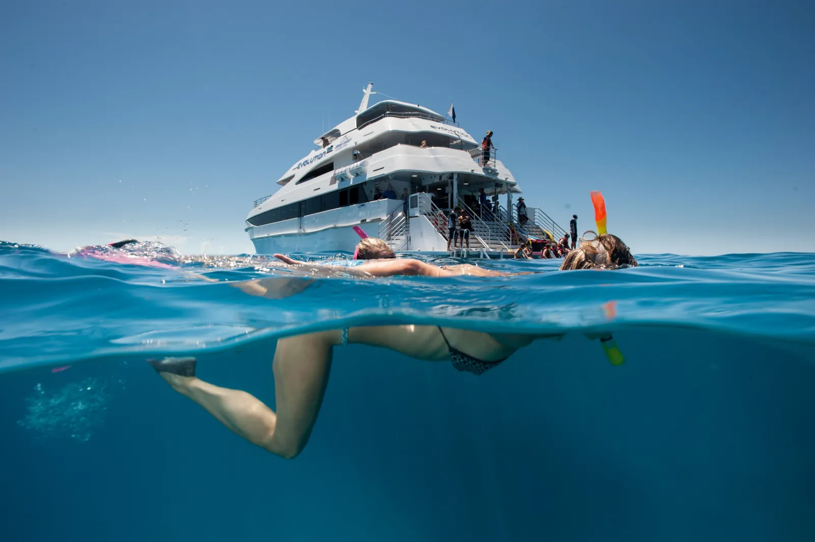 Snorkeller in the water beside a reef cruise boat