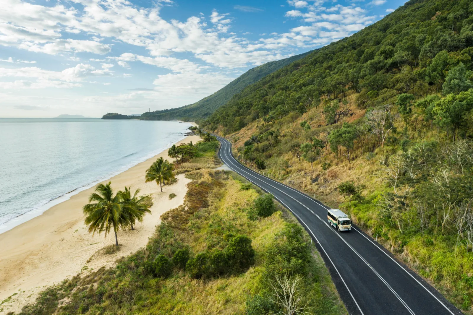 2-Day Great Barrier Reef and Daintree Rainforest Tour from Cairns