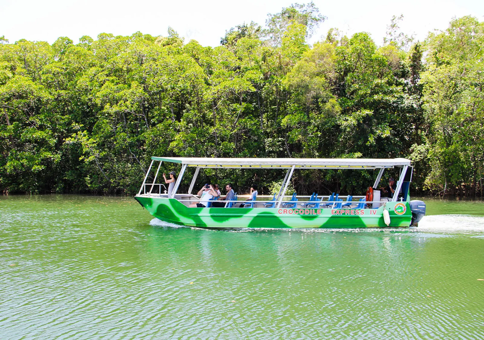 Green-and-white cruise boat on the Daintree River