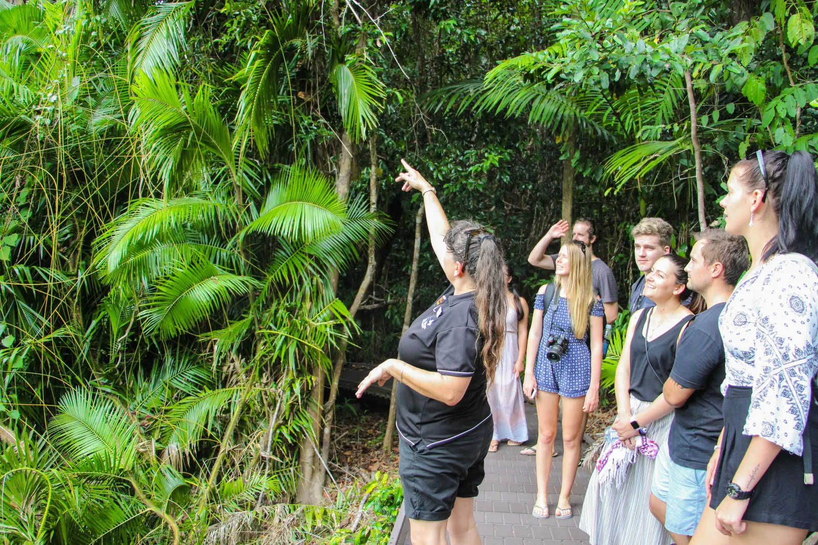 Daintree Wilderness and Cape Tribulation Coach Tour from Cairns