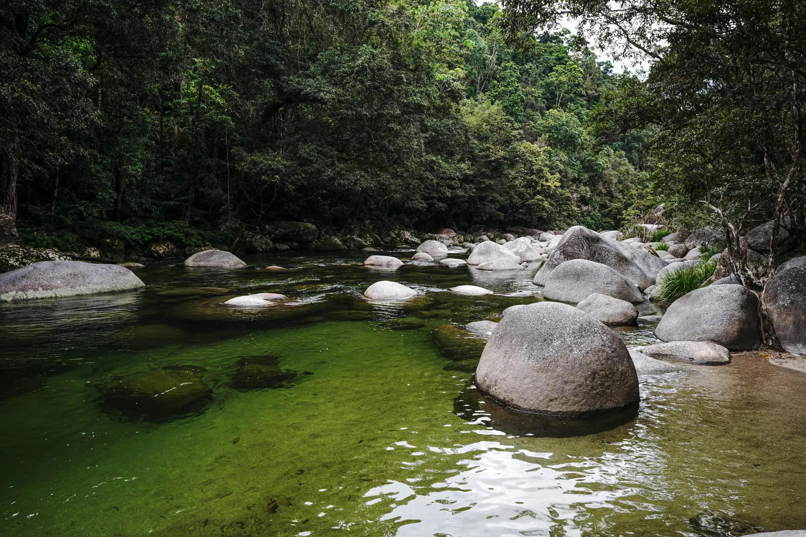 Clear green pool among granite boulders at Mossman Gorge