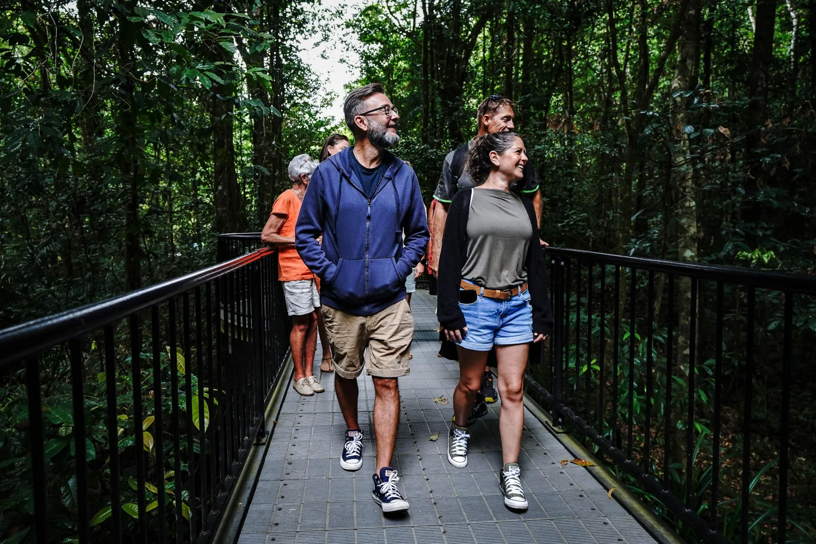 Afternoon Daintree Tour with Wildlife Cruise from Port Douglas