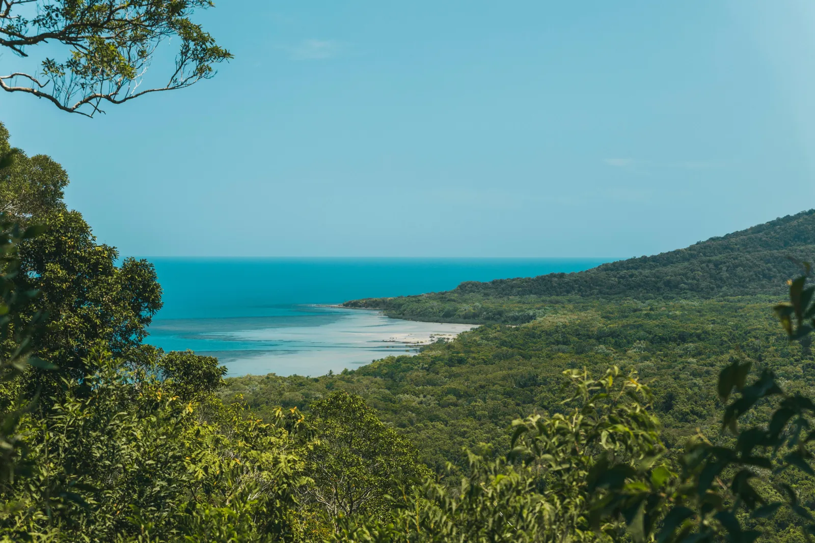 View through rainforest to a tidal inlet and the sea