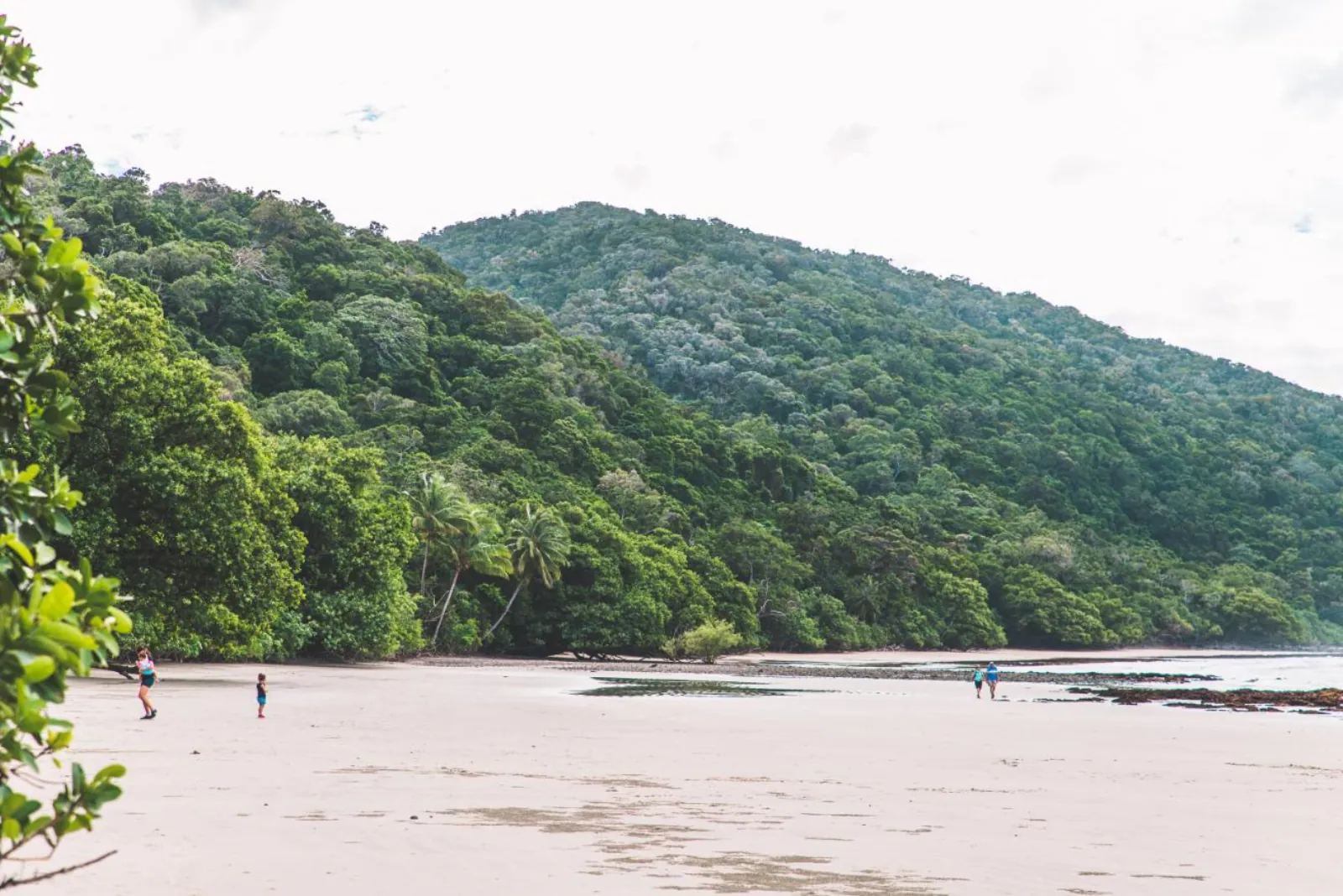 Visitors on the beach at Cape Tribulation below forested hills