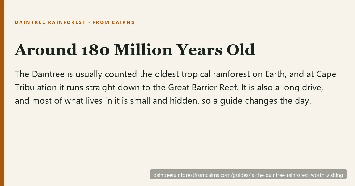 Cape Tribulation, where the Daintree Rainforest meets the Great Barrier Reef
