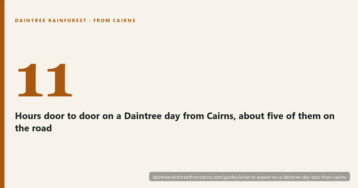 A Daintree day tour from Cairns hour by hour: coast road, Mossman Gorge, river cruise, ferry and Cape Tribulation